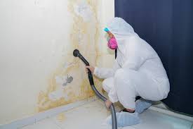 Best Forensic Mold Investigation  in Victory Lakes, NJ